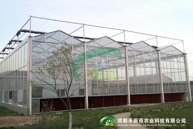 1544772612544706.jpg 湖北恩施玻璃温室1.jpg