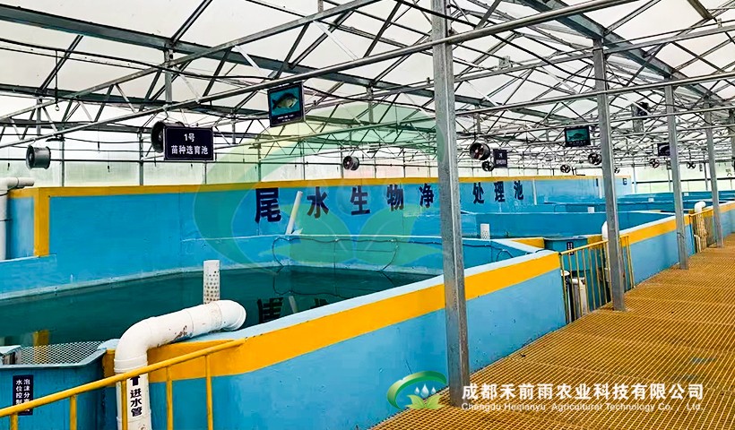 十大滚球体育app入口